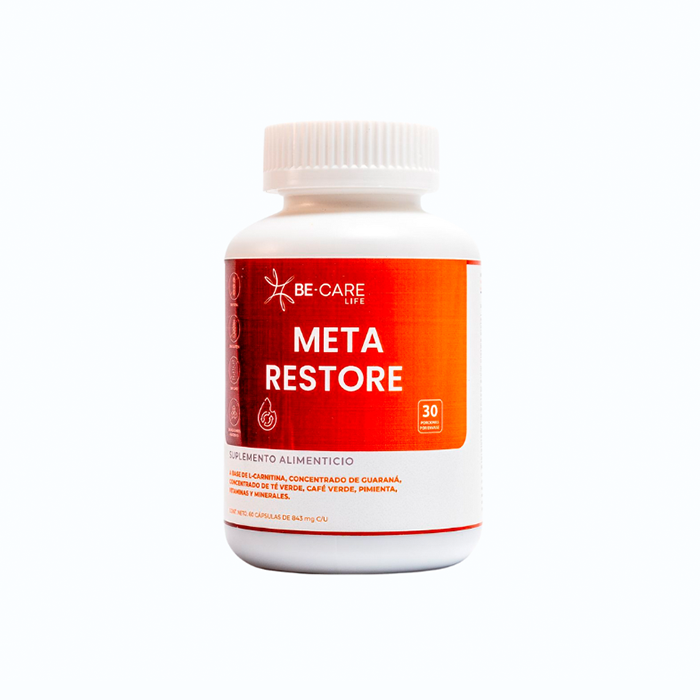 Meta Restore